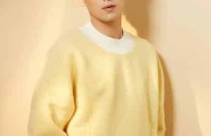 盛英豪【中国内地影视男演员、模特】 – 人物百科