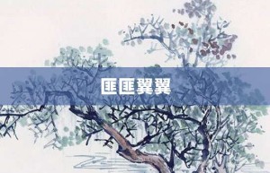 匪匪翼翼【匪匪翼翼的意思】- 成语大全