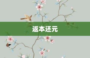 返本还元【返本还元的意思】- 成语大全