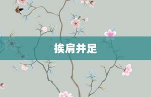 挨肩并足【挨肩并足的意思】- 成语大全