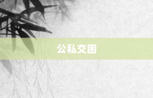 公私交困【公私交困的意思】- 成语大全