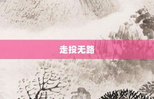 走投无路【走投无路的意思】- 成语大全