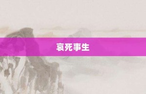 哀死事生【哀死事生的意思】- 成语大全