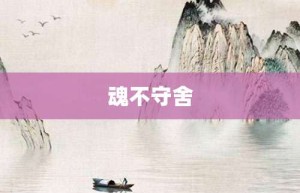 魂不守舍【魂不守舍的意思】- 成语大全