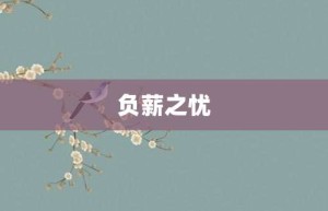 负薪之忧【负薪之忧的意思】- 成语大全