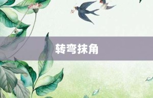 转弯抹角【转弯抹角的意思】- 成语大全