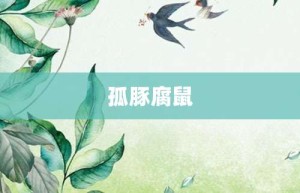 孤豚腐鼠【孤豚腐鼠的意思】- 成语大全