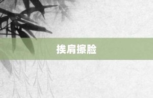 挨肩擦脸【挨肩擦脸的意思】- 成语大全