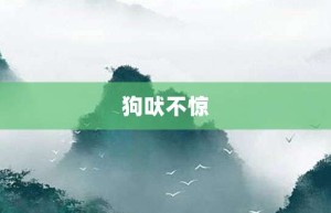 狗吠不惊【狗吠不惊的意思】- 成语大全