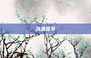 沟满壕平【沟满壕平的意思】- 成语大全