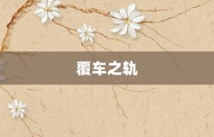 覆车之轨【覆车之轨的意思】- 成语大全