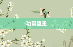 功高望重【功高望重的意思】- 成语大全