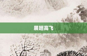 展翅高飞【展翅高飞的意思】- 成语大全