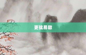 更弦易辙【更弦易辙的意思】- 成语大全