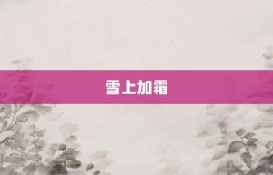 雪上加霜【雪上加霜的意思】- 成语大全