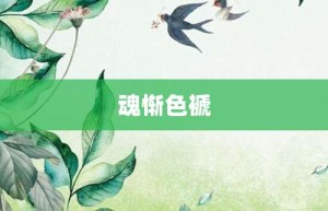 魂惭色褫【魂惭色褫的意思】- 成语大全