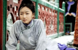 丫鬟李代桃僵嫁给清朝名臣陶澍，陶澍从此一路高升丫鬟最后成诰命夫人！_稗官野史 菊江历史网