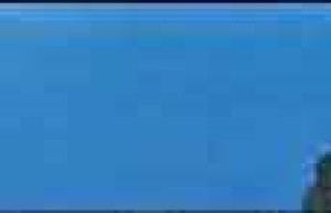 蒙古族如何选猎狗？蒙古族选猎狗的方法_民俗文化 菊江历史网