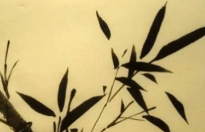 历史上文同和苏轼之间是什么关系？_宋朝历史 菊江历史网