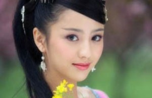 赵飞燕简介_赵飞燕的儿子_赵飞燕的故事_赵飞燕怎么死的 菊江历史网