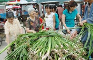 壮族文化 壮族医药文化是怎样发展的_民俗文化 菊江历史网