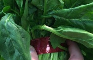 六种简单食物 巧塑完美身材_饮食文化 菊江历史网