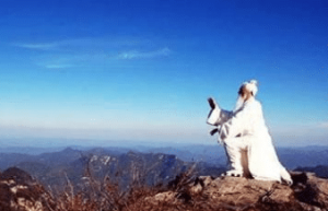 历史上四位鬼才，没有诸葛亮也没有刘伯温？_稗官野史 菊江历史网