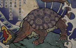上古先民为什么如此崇拜“龟”？它象征了哪些哪些美好的寓意？_上古历史 菊江历史网