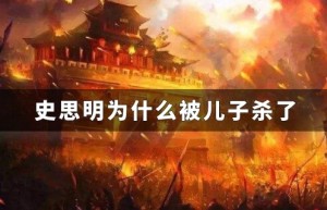 史思明为什么被儿子杀了_唐朝历史 菊江历史网