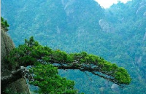 江西三清山有什么风景？江西三清山的地理景观_民间艺术 菊江历史网