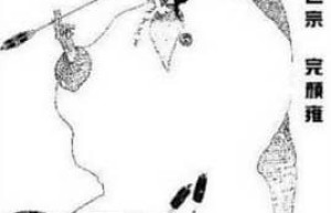 完颜雍【金朝第五位皇帝】 – 人物百科