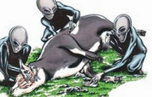 美国屠牛事件是怎么回事？“屠牛事件”真的是外星人所为？_稗官野史 菊江历史网