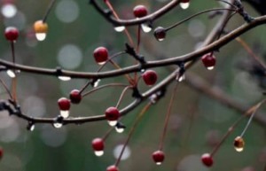 诸侯列国都是24个节气，齐国却有30个节气_乡村野史 菊江历史网