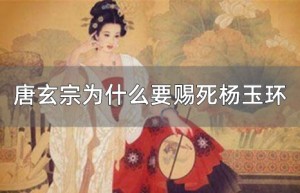 唐玄宗为什么要赐死杨玉环_唐朝历史 菊江历史网