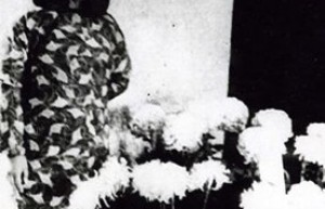 李玉琴简介_李玉琴的儿子_李玉琴的故事_李玉琴怎么死的 菊江历史网