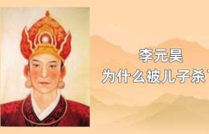 李元昊为什么被儿子杀了_稗官野史 菊江历史网