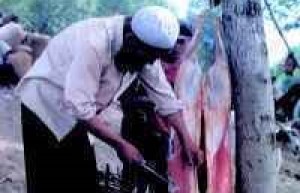 撒拉族饮食概况_饮食文化 菊江历史网