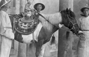 光绪皇帝做了三十多年的皇帝 光绪为何没有夺回大权_清朝历史 菊江历史网