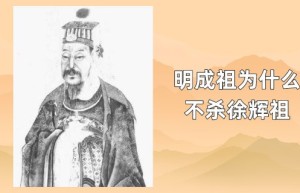 明成祖为什么不杀徐辉祖_明朝历史 菊江历史网