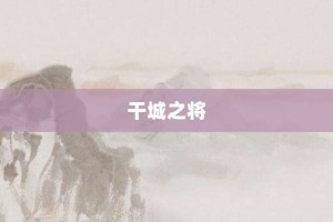干城之将【干城之将的意思】- 成语大全