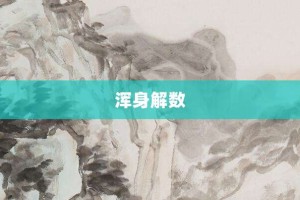 浑身解数【浑身解数的意思】- 成语大全