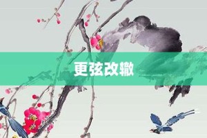 更弦改辙【更弦改辙的意思】- 成语大全
