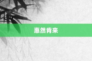 惠然肯来【惠然肯来的意思】- 成语大全