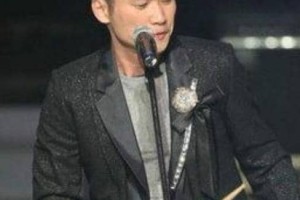 应蔚民【华人男歌手】 – 人物百科