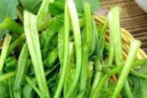 饮食搭配让男人保“精力”_饮食文化 菊江历史网