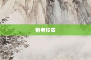 惜老怜贫【惜老怜贫的意思】- 成语大全