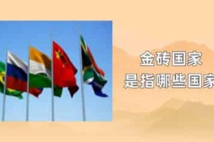 金砖国家是指哪些国家_世界近代史 菊江历史网
