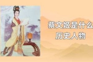 蔡文姬是什么历史人物_三国历史 菊江历史网