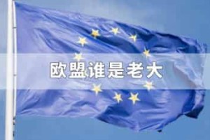 欧盟谁是老大_世界近代史 菊江历史网
