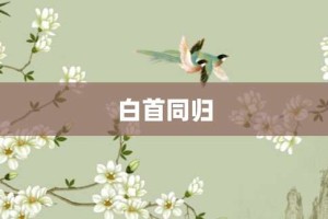 白首同归【白首同归的意思】- 成语大全